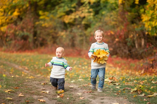 Szczęśliwi Chłopcy Zbierający Jesienne Liście Parku Jesienią — Zdjęcie stockowe