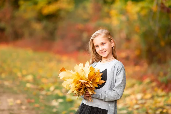 Hermosa Niña Con Hojas Otoño Parque Aire Libre —  Fotos de Stock