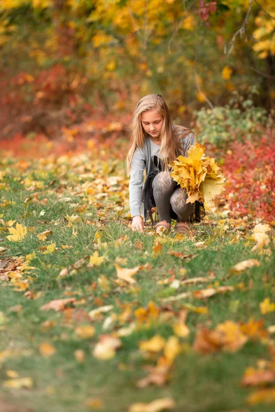 Vacker Liten Flicka Samla Höstlöv Parken Utomhus — Stockfoto