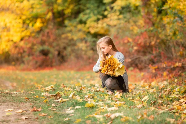 Beautiful Little Girl Gathering Autumn Leaves Park Outdoor — Stock Photo, Image