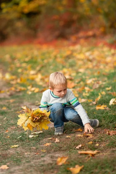 Lycklig Liten Pojke Samla Höstlöv Parken Hösten — Stockfoto