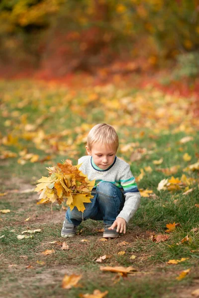 Happy Little Boy Gathering Autumn Leaves Park Autumn — Stock Photo, Image