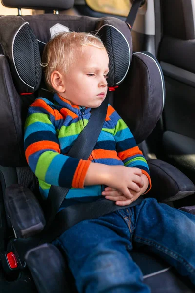 Liten Pojke Som Sitter Bilstol Fastspänd Bilen Barnbilssäkerhet — Stockfoto