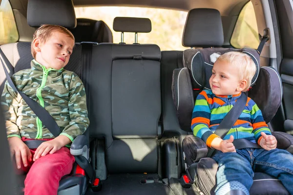 Två Små Pojkar Sitter Bilstol Och Bältesstol Fastspänd Bilen Barnbilssäkerhet — Stockfoto