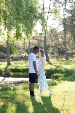 Genç bir çift, açık havada yaz gününün tadını çıkarıyor. Siyah bir adam ve beyaz bir kadın, doğal bir bahçe bahçesinde birlikte. Romantizm, sevgi ve çeşitliliği barışçıl, güneşli bir ortamda ifade ediyorlar.