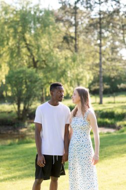Genç bir çift, açık havada yaz gününün tadını çıkarıyor. Siyah bir adam ve beyaz bir kadın, doğal bir bahçe bahçesinde birlikte. Romantizm, sevgi ve çeşitliliği barışçıl, güneşli bir ortamda ifade ediyorlar.