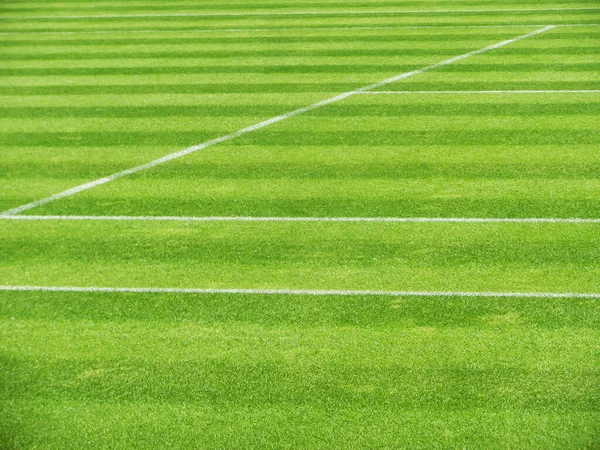                  Yatay çizgili çimen tenis kortu                   