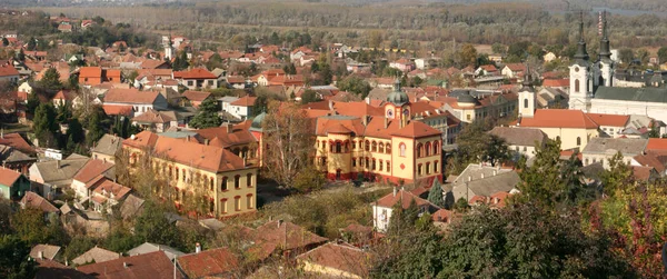 塞尔维亚美丽的小镇斯雷姆斯基卡尔洛维奇的景色 — 图库照片