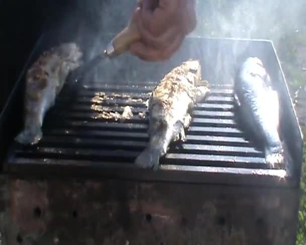 Verse Forel Vis Hete Grill — Stockvideo