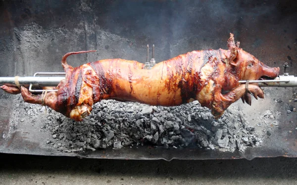 Tükürükte kavrulan bir domuz yavrusu, geleneksel yol, çok lezzetli