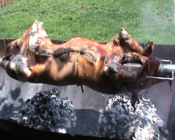 Piglet Roasting Spit Traditional Way Very Tasty — Stock Video