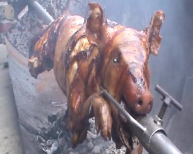 Tükürükte kavrulan bir domuz yavrusu, geleneksel yol, çok lezzetli