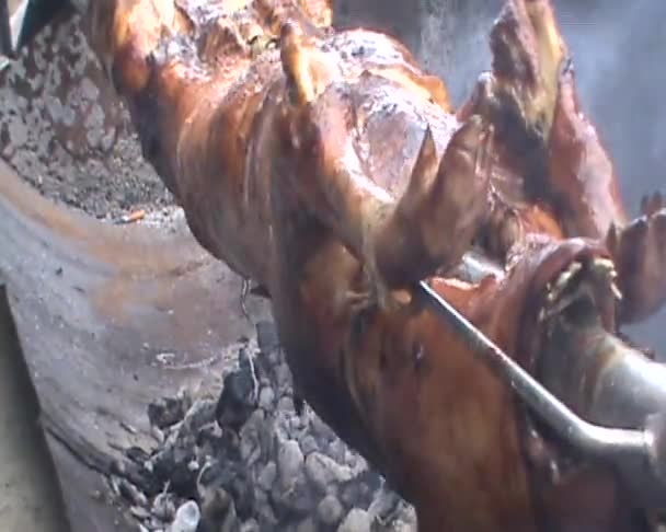 Piglet Roasting Spit Traditional Way Very Tasty — Stock Video