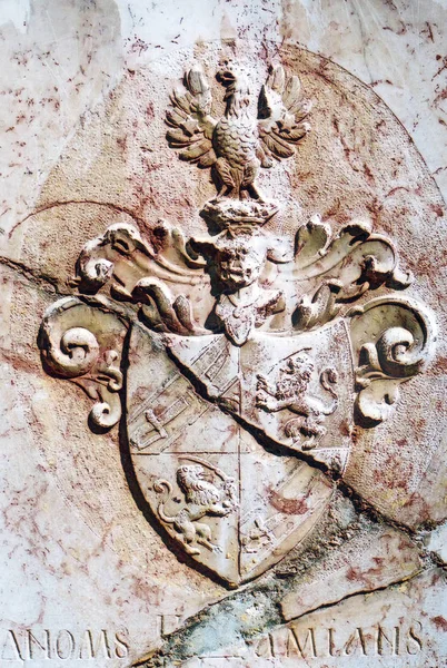 Heráldica Medieval Sérvia Brasão Armas — Fotografia de Stock