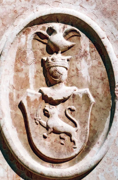 Heráldica Medieval Serbia Escudo Armas —  Fotos de Stock