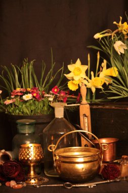 Kara büyü büyü. Wiccan büyüler ve otlar. Hala canlı: Eski yağ lambaları, antika kitap, bakır kase, ilaç şişeleri, lavanta, Pulsatilla pratensis bir antika arka plan üzerinde yanan bir muma gül tomurcukları kurutulmuş. Wicca arka plan.