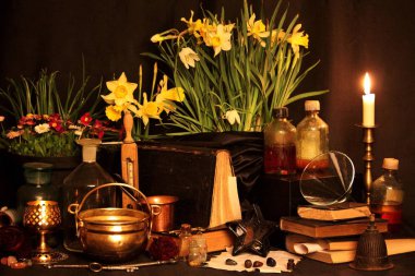 Kara büyü büyü. Wiccan büyüler ve otlar. Hala canlı: Eski yağ lambaları, antika kitap, bakır kase, ilaç şişeleri, lavanta, Pulsatilla pratensis bir antika arka plan üzerinde yanan bir muma gül tomurcukları kurutulmuş. Wicca arka plan.