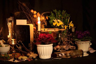 Kara büyü büyü. Wiccan büyüler ve otlar. Hala canlı: Eski yağ lambaları, antika kitap, bakır kase, ilaç şişeleri, lavanta, Pulsatilla pratensis bir antika arka plan üzerinde yanan bir muma gül tomurcukları kurutulmuş. Wicca arka plan.