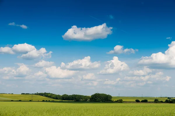 Blick Auf Das Grüne Feld Unter Blauem Himmel — Stockfoto