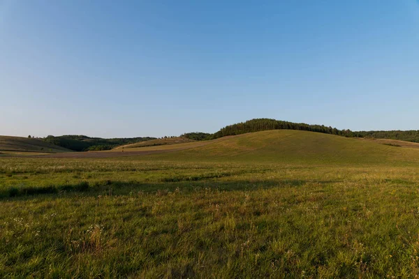 Vue Champ Vert Sous Ciel Bleu Jour — Photo