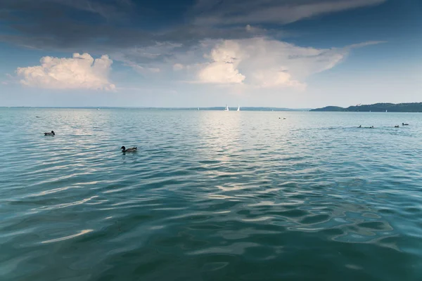 Utsikt Över Vackra Balatonsjön Molnig Himmel Dagtid — Stockfoto