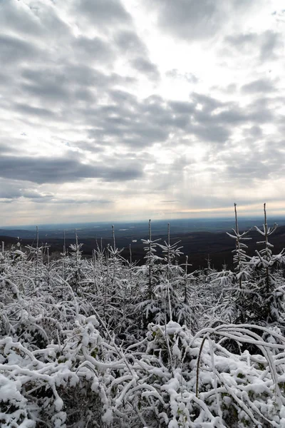 Prachtige Besneeuwde Landschap Natuur Schilderachtig Uitzicht — Stockfoto