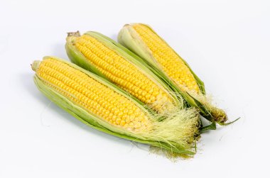 izole Mısır arka plan yakın çekim 