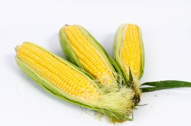 izole Mısır arka plan yakın çekim 