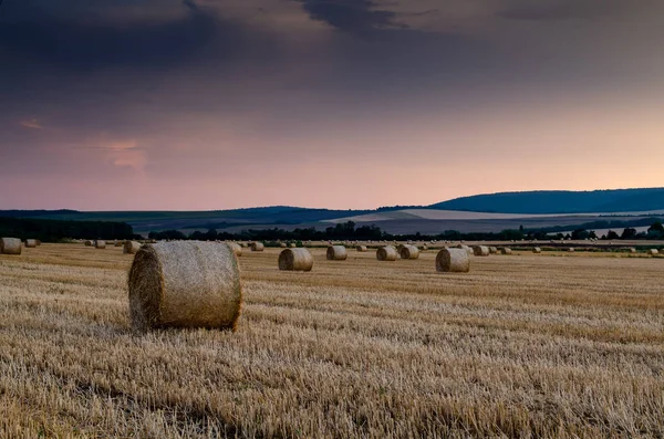Hay Bales Background Nature Landscape — 스톡 사진