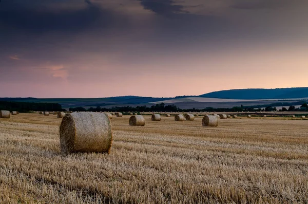 Fieno Balle Sfondo Natura Paesaggio — Foto Stock