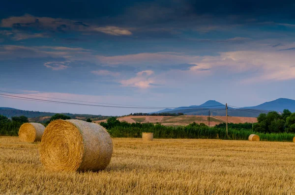 Fardos Feno Fundo Natureza Paisagem — Fotografia de Stock