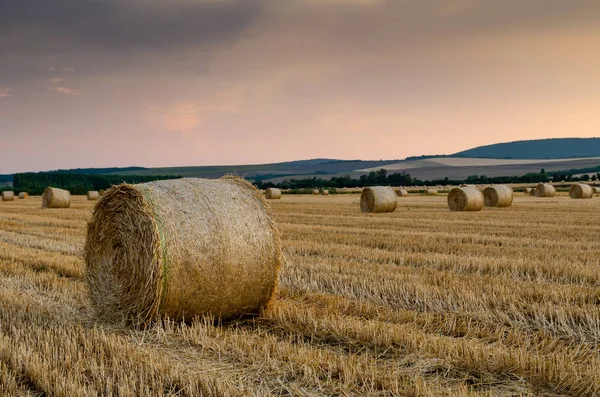 Fardos Heno Fondo Naturaleza Paisaje — Foto de Stock