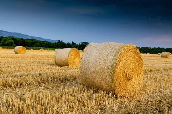 Fardos Feno Fundo Natureza Paisagem — Fotografia de Stock