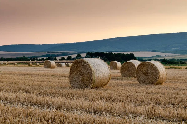 Hay Bales Background Nature Landscape — Stock Photo, Image