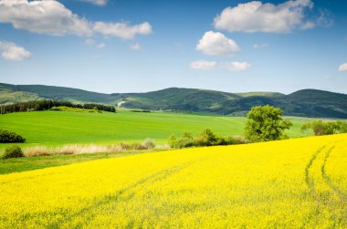 tecavüz alan arka plan doğa manzara 