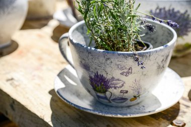 Güzel lavanta arka plan yakın çekim 