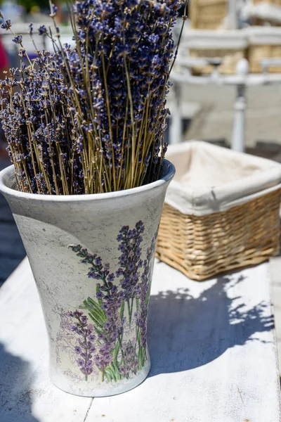 Beautiful Lavender Background Close — Stock Photo, Image