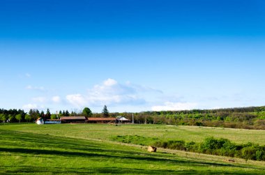 yeşil alan manzaralı