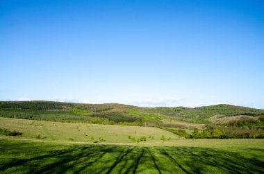 yeşil alan manzaralı