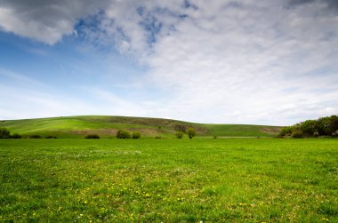 yeşil alan manzaralı