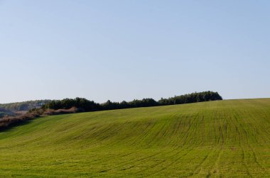 yeşil alan manzaralı