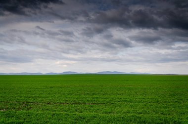 yeşil alan manzaralı