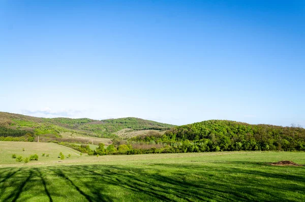 Landschaft Auf Dem Grünen Feld — Stockfoto