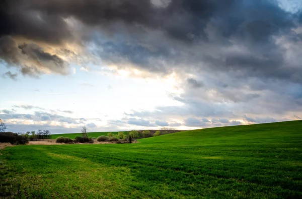 Campo Verde Vista Panoramica — Foto Stock