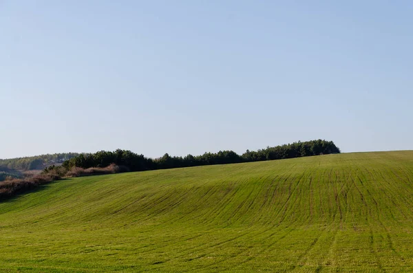 Champ Vert Vue Panoramique — Photo