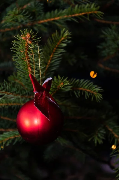 Christmass Ball Close — Stock Photo, Image