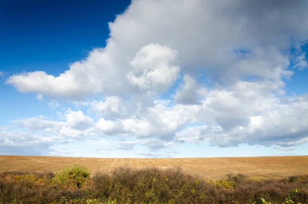 Brown Field Blue Sky — Stock Photo, Image