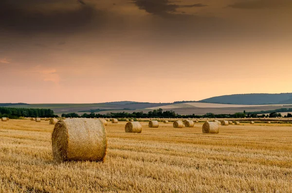 Hay Bales Background Scenic View — Stock Photo, Image