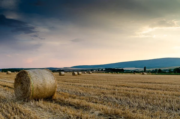 Hay Bales Background Scenic View — Stock Photo, Image