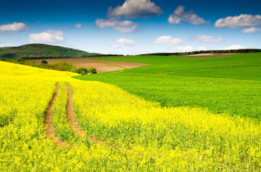 güzel tecavüz alanı manzara görünümü 